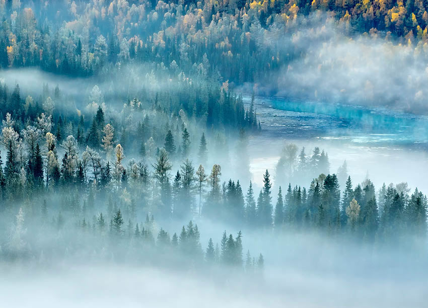 Tavla - River and Forest (80x120cm)