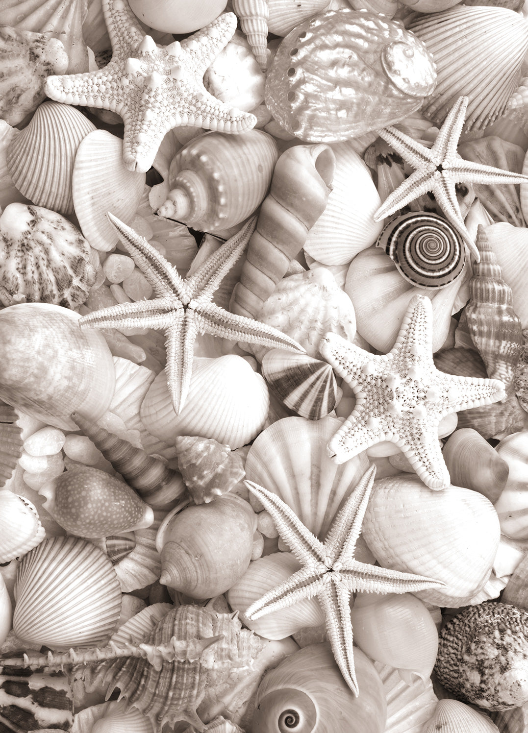 Tavla - Sea Life (70x100cm)