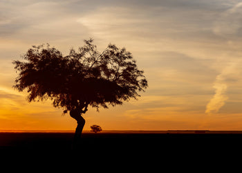 Canvastavla - African landscape (80x120)