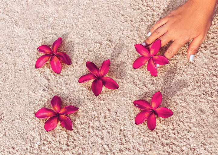 Canvas Schilderij - Red Flowers on Sand