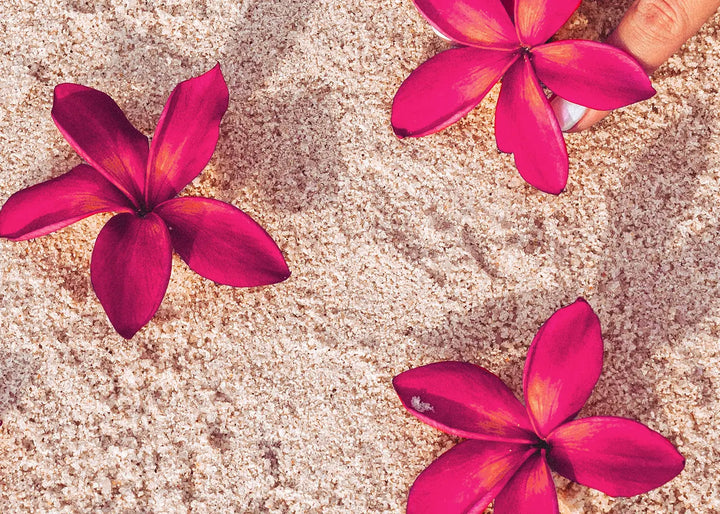 Canvas Schilderij - Red Flowers on Sand