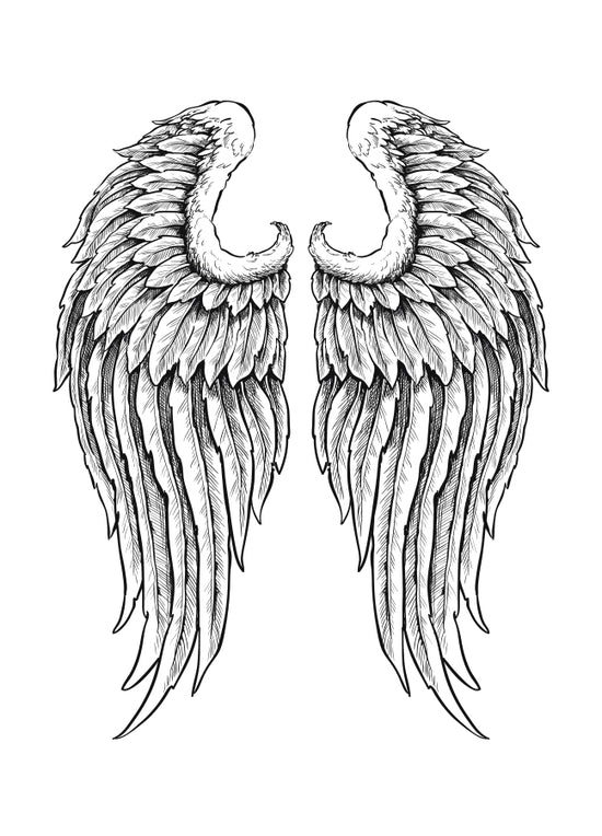 Poster - Wings